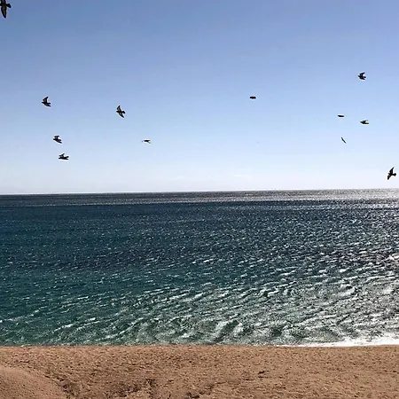 Design Modernist Appartamento *