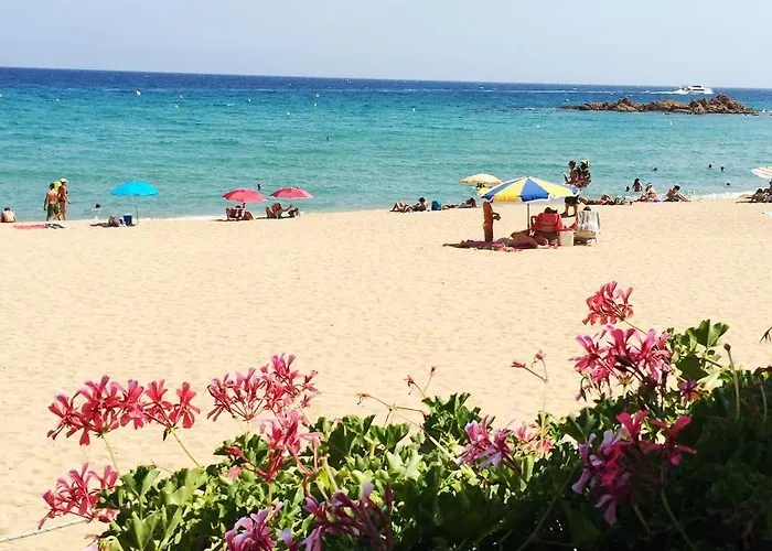 Appartamento Design Modernist