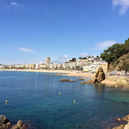 Appartement Design Modernist *