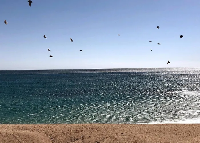 Design Modernist Апартаменти *